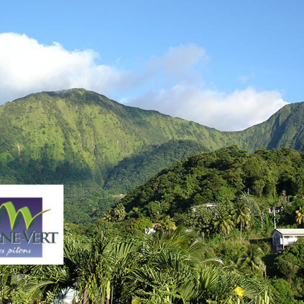 Le Morne Vert Martinique logiciel de gestion des services techniques