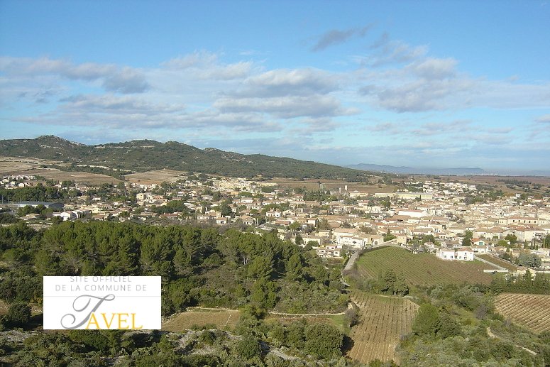 Tavel
