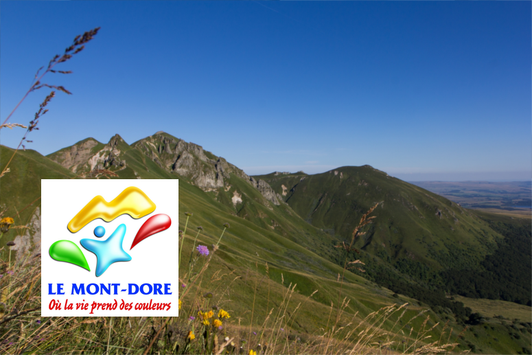 logiciel de gestion des services techniques de Mont Dore