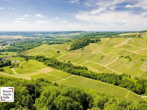 Cc bresse haute seille